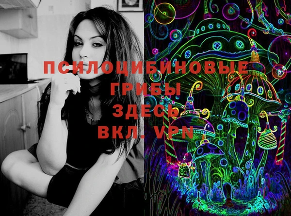 круглые Инсар