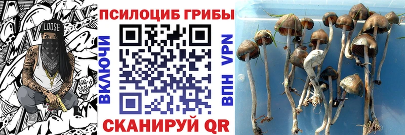 Псилоцибиновые грибы Psilocybine cubensis MEGA зеркало Бор